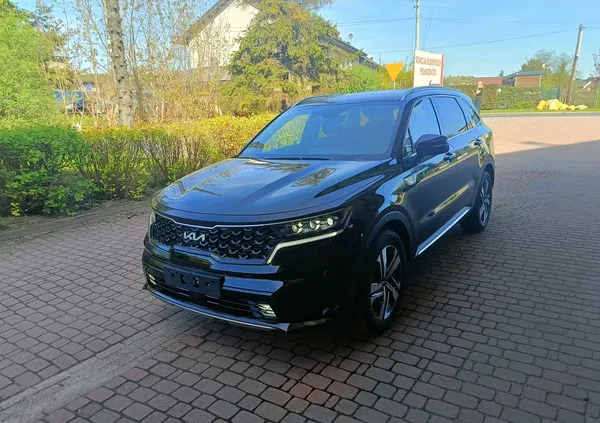 śląskie Kia Sorento cena 249200 przebieg: 7, rok produkcji 2023 z Tolkmicko